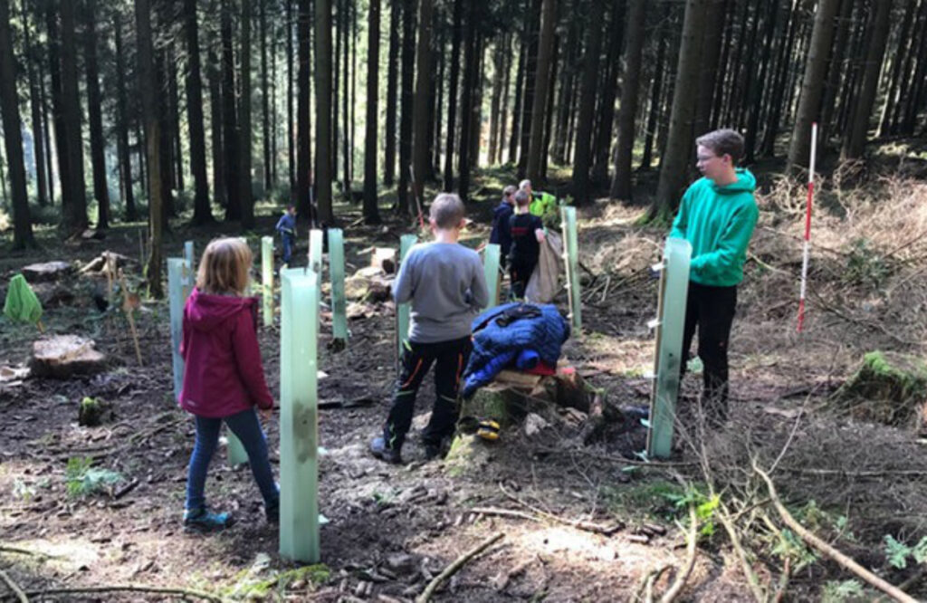 Schüler im Wald