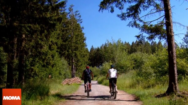 Zwei Radfahrer im Wald