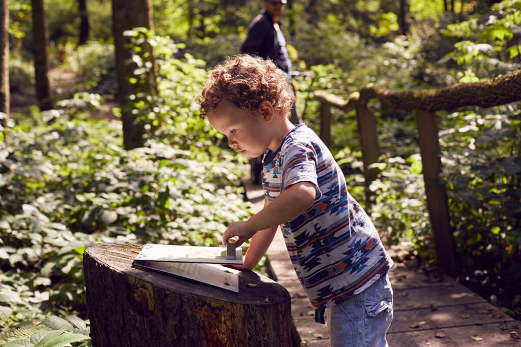 Kleinkiind beim Lernen im Wald