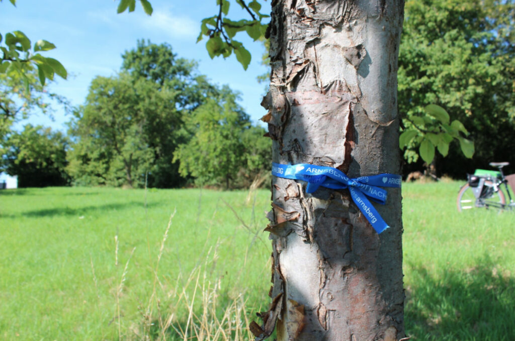 Baum mit blauem Band