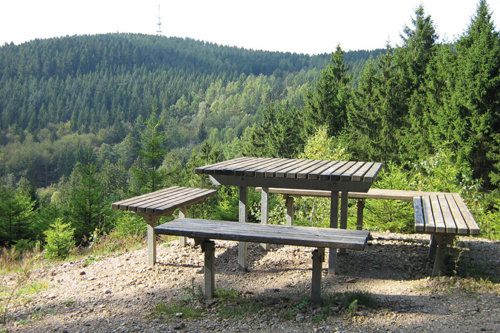 Tisch mit zwei Sitzbänken, Wald im Hintergrund