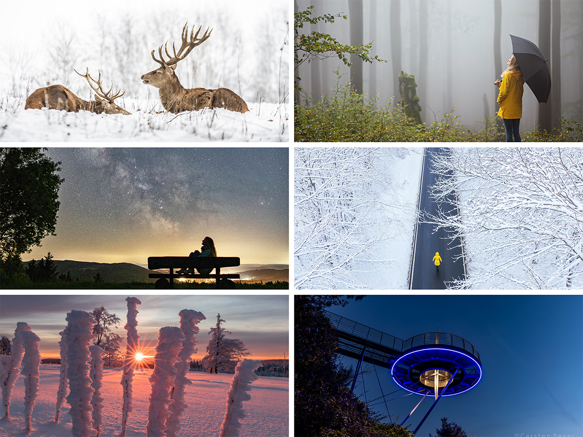 Collage von Naturbildern