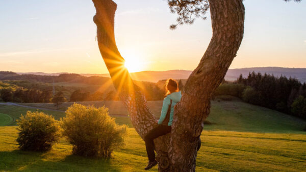 Sonnenuntergang am Rothaarsteig