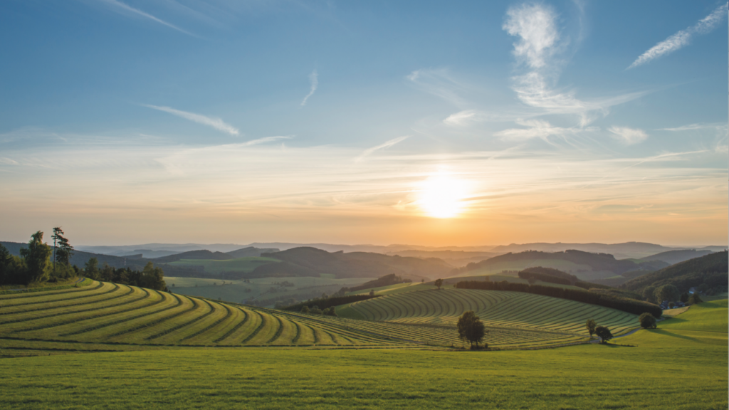 Hügelige Landschaft im Sonnenschein