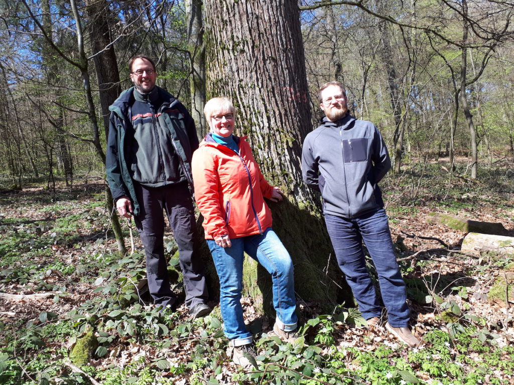 Drei Menschen stehen vor einem Baum